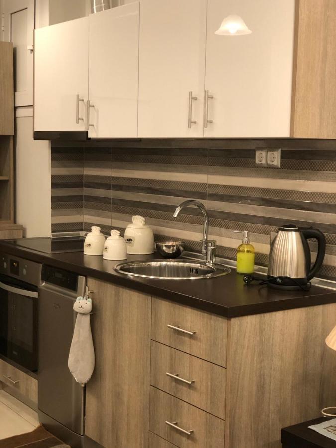 Xenia_Apartments A2 Κοζάνη Εξωτερικό φωτογραφία